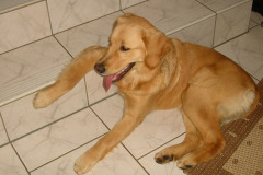DSCN1327